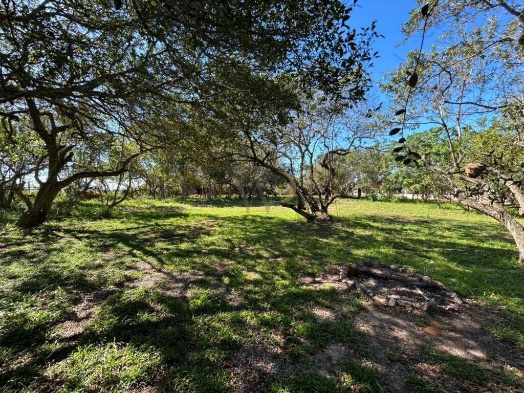 Casa estilo Fazenda — foto 23